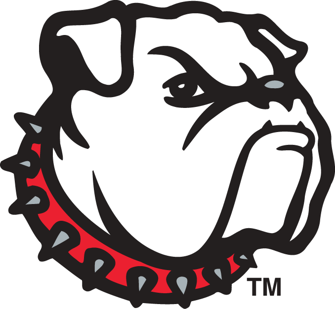 Georgia Bulldogs 1996-2000 Alternate Logo DIY iron on transfer (heat transfer)